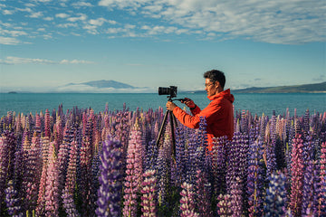 Colleen Logan: A Summer Road Trip Through New Zealand’s South Island