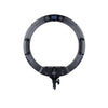 Specialist R19RGB 19%22 LED Ringlight