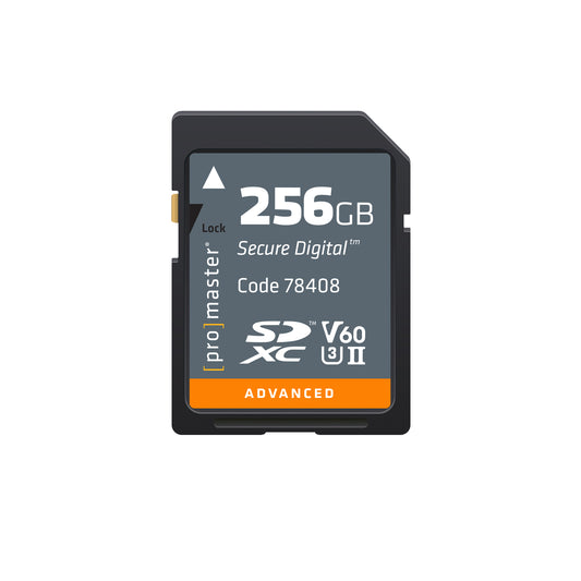 SDXC 256GB Advanced UHS-II V60 Memory Card