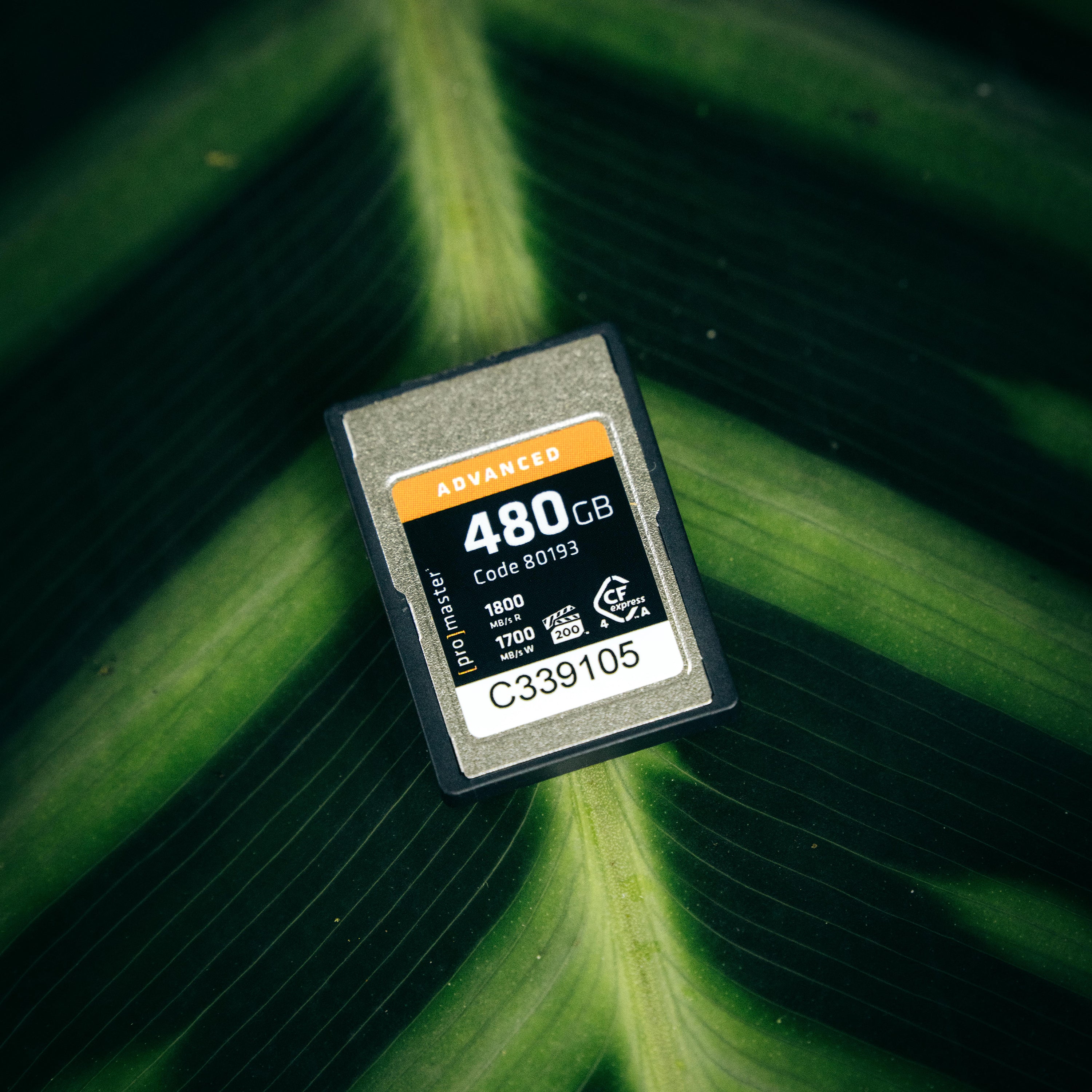 CFexpress 4.0 Type A 480GB Advanced Memory Card – ProMaster